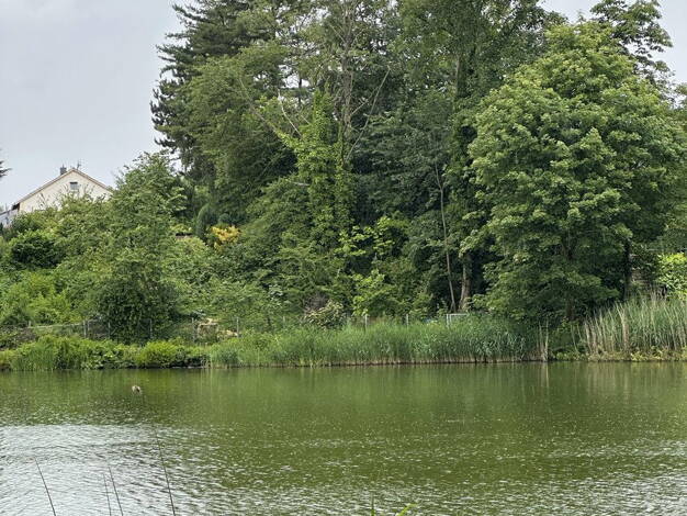 Grundstück zum Kauf provisionsfrei 849.000 € 1.848 m² Grundstück Am Vogelsberg 37 Altlünen 44534