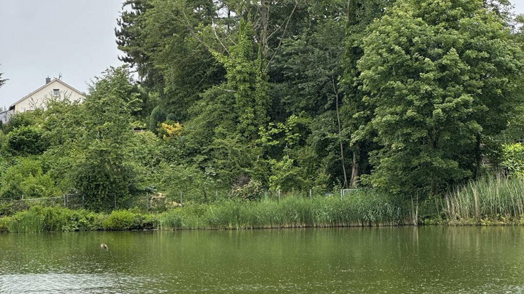 Grundstück zum Kauf provisionsfrei 849.000 € 1.848 m² Grundstück Am Vogelsberg 37 Altlünen 44534