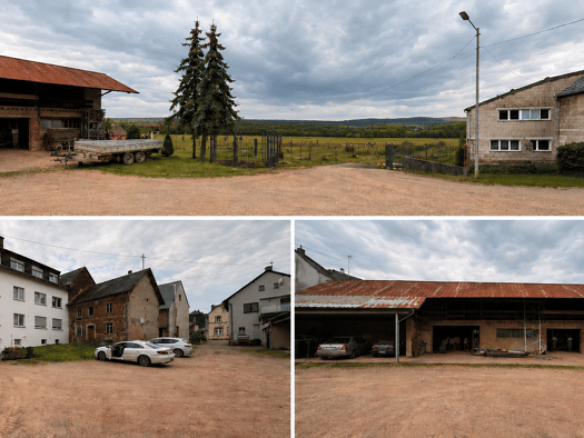 Halle/Industriefläche zum Kauf 70.000 € 1.000 m² Lagerfläche Klausener Straße Sehlem 54518