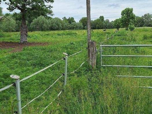 Landwirtschaftliche Fläche zum Kauf als Kapitalanlage geeignet 68.000 € 15.364 m² Grundstück Veltenhof Veltenhof - Rühme 38112