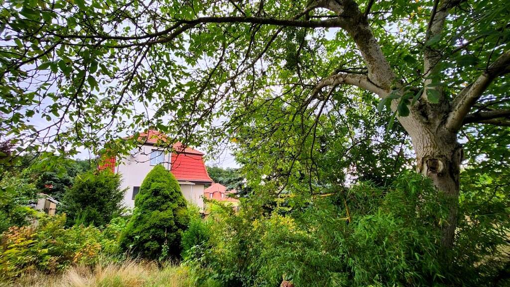 Immobilie in Meineweh - SOLIDE! **RANDLAGE - FERNBLICK** - Bild 3