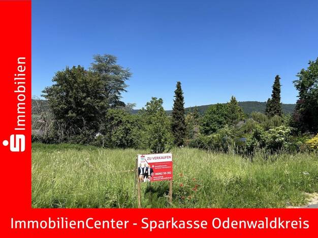 Grundstück zum Kauf 133.250 € 650 m² Grundstück frei ab sofort Höchst Höchst i. Odw. 64739