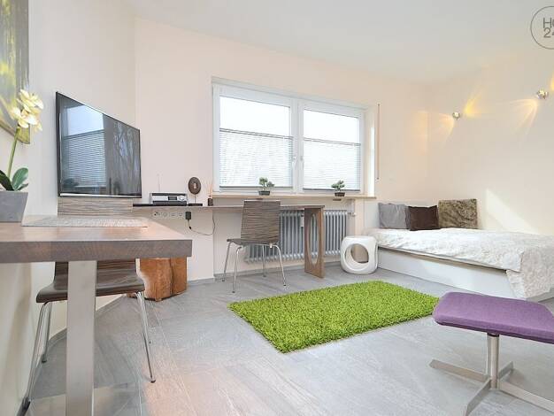 Wohnung zur Miete auf Zeit 775 € 1 Zimmer 32 m² frei ab 01.11.2026 Gostenhof Nürnberg 90429
