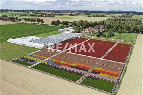 Land-/Forstwirtschaft zum Kauf 599.000 € 38.922 m²<br/>Grundstück Louisendorf Bedburg-Hau 47551