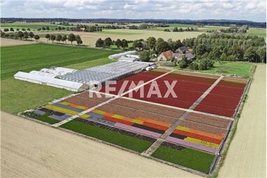 Land-/Forstwirtschaft zum Kauf 599.000 € 38.922 m² Grundstück Louisendorf Bedburg-Hau 47551