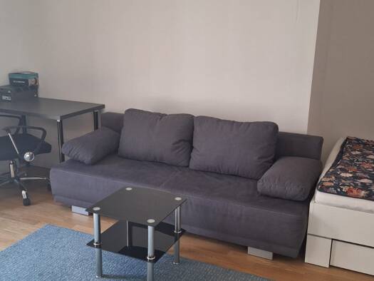 Studio zur Miete 1.050 € 1 Zimmer 30 m² Geschoss 2/4 frei ab 01.05.2026 Hammerbrook Hamburg 20097