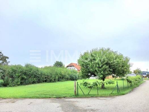 Grundstück zum Kauf 379.000 € 1.010 m² Grundstück Marchtrenk 4614