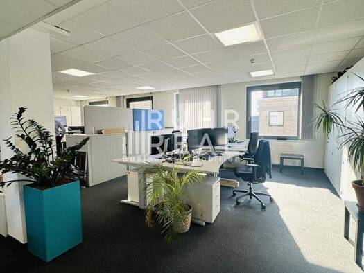 Bürofläche zur Miete provisionsfrei 4.384,9 m² Bürofläche teilbar ab 404,3 m² Ossendorf Köln 50829