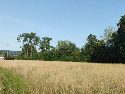 Land-/Forstwirtschaft zum Kauf 2.000 m² Grundstück Dießen Dießen am Ammersee 86911