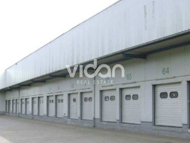 Lagerhalle zur Miete Köln 51149