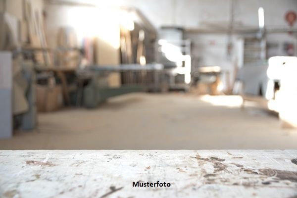 Werkstatt zum Kauf 20.300 € Münster Selters 65618