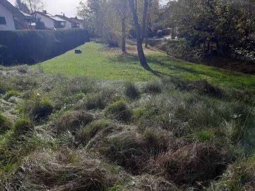 Grundstück zum Kauf provisionsfrei 149.900 € 750 m² Grundstück Lusenstraße 32 Eging a.See 94535