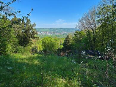 Freizeitgrundstück zum Kauf 75.000 € 737 m² Grundstück Wenigenjena - Schlegelsberg Jena 07749