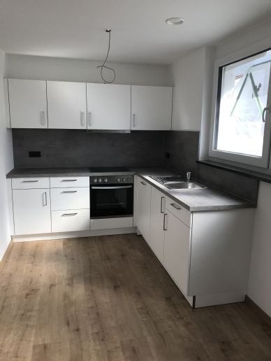 Wohnung zur Miete 650 € 1 Zimmer 56 m²<br/>Wohnfläche EG<br/>Geschoss 01.03.2025<br/>Verfügbarkeit Alt-Wiblingen Ulm 89079