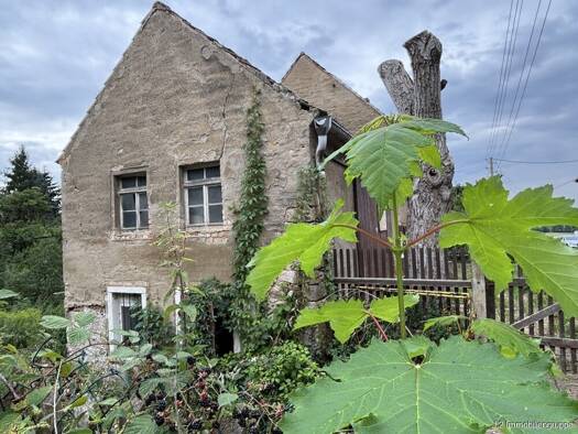 Einfamilienhaus zum Kauf 127.000 € 8 Zimmer 109 m² 6.232 m² Grundstück Golk Diera-Zehren 01665
