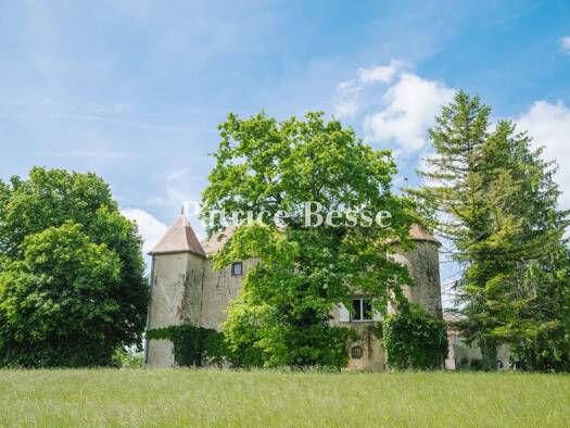 Bauernhaus zum Kauf 860.000 € 6 Zimmer 200 m² 52.523 m² Grundstück Centre Riom 63200
