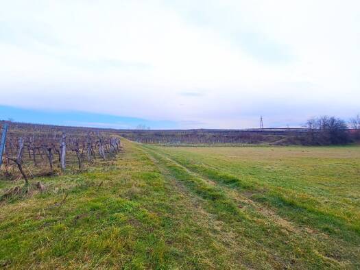 Grundstück zum Kauf 129.000 € 533 m² Grundstück Straß im Straßertale 3491