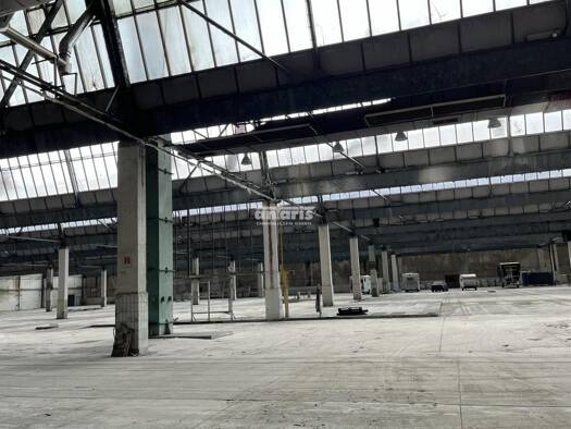 Lagerhalle zur Miete 2.500 m² Lagerfläche teilbar ab 2.500 m² Ilmenau 98693
