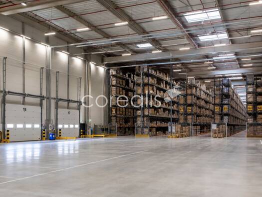 Lagerhalle zur Miete provisionsfrei 3.200 m² Lagerfläche teilbar ab 1.000 m² Holthausen Düsseldorf 40589