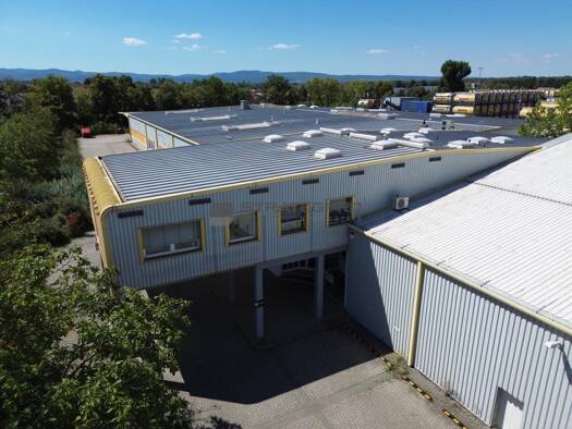 Lagerhalle zur Miete 4.837 m² Lagerfläche teilbar ab 4.837 m² Fußgönheim 67136