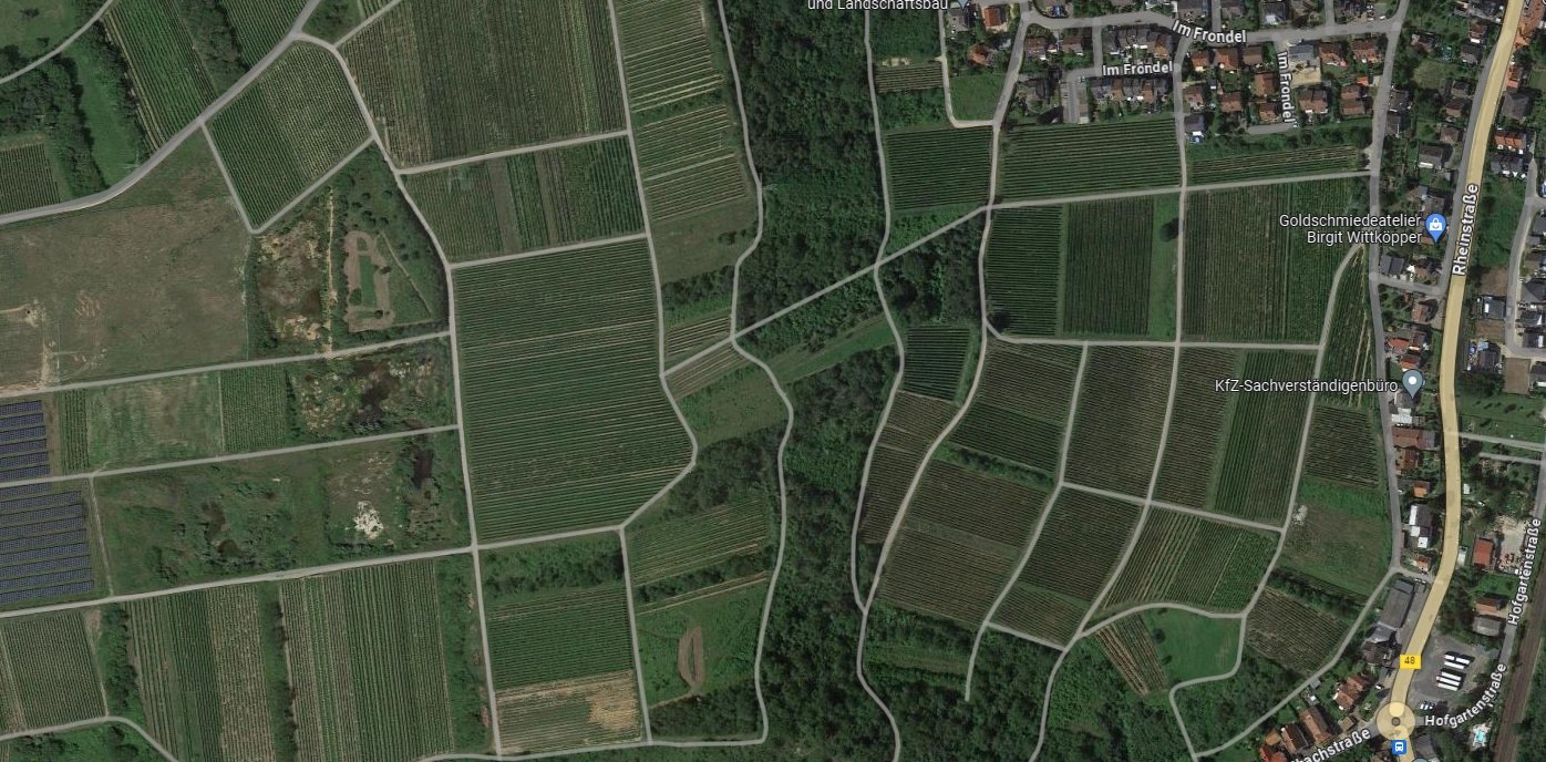 Landwirtschaftliche Fläche zum Kauf provisionsfrei 5.900 € 2.535 m²<br/>Fläche 2.535 m²<br/>Grundstück Im Frondel südwestlich Münster-Sarmsheim 55424