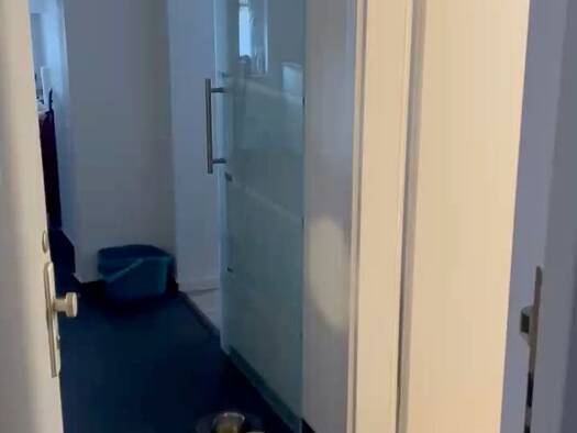 Wohnung zur Miete 835 € 2 Zimmer 57 m² Geschoss 1/4 frei ab 01.03.2026 Wiesenstraße 13 Steinbühl Nürnberg 90443