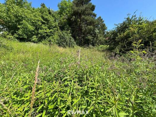 Grundstück zum Kauf 59.000 € 801 m² Grundstück St. Florian am Inn 4782