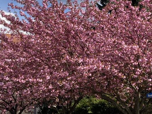 Einfamilienhaus zum Kauf 849.000 € 4 Zimmer 160 m² 1.532 m² Grundstück frei ab 01.04.2026 Werder (Havel) 14542