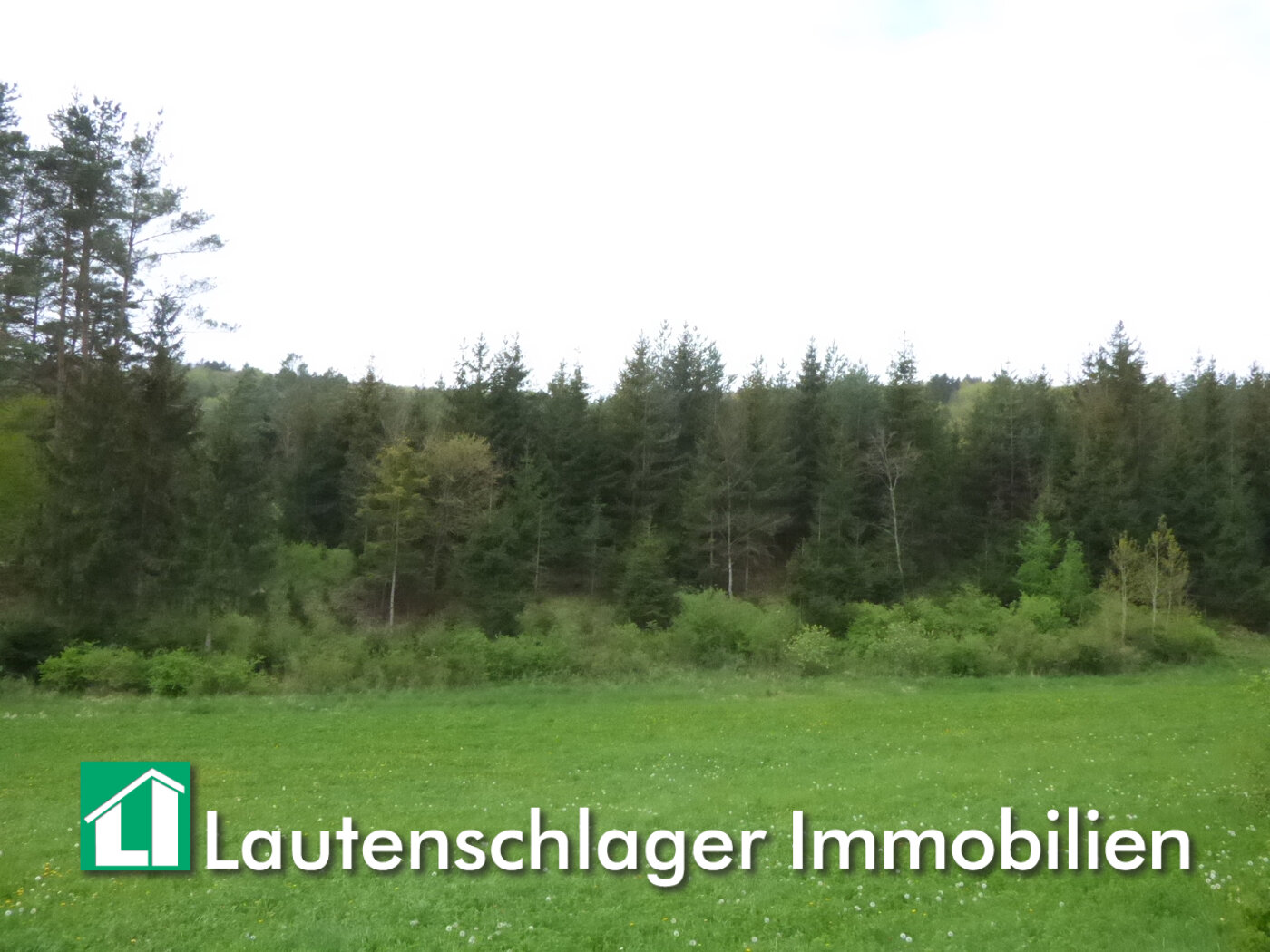 Land-/Forstwirtschaft zum Kauf 65.000 € 18.100 m²<br/>Grundstück Albertshofen Velburg / Ronsolden 92355