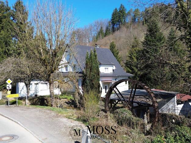 Einfamilienhaus zum Kauf 498.000 € 7 Zimmer 184 m² 763 m² Grundstück Hasel 79686