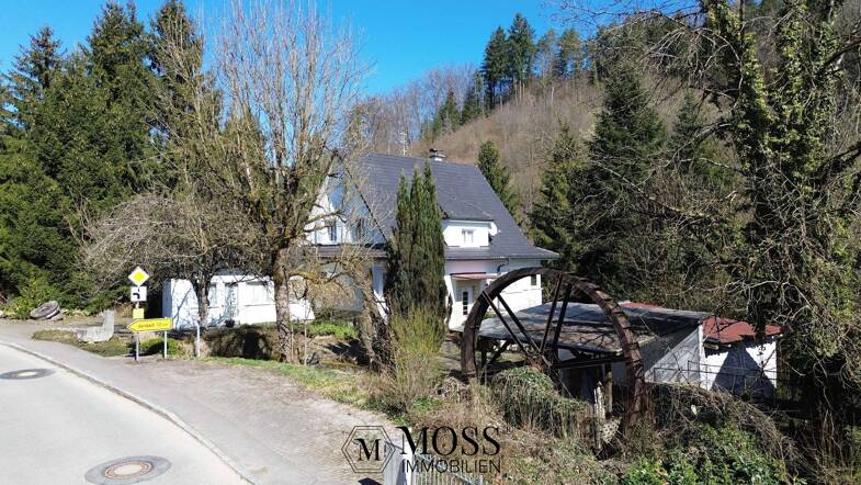 Einfamilienhaus zum Kauf 498.000 € 7 Zimmer 184 m² 763 m² Grundstück Hasel 79686