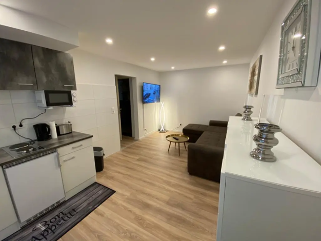 Studio zur Miete 650 € 1 Zimmer 47 m² frei ab sofort Collinistraße 4 Oststadt Mannheim 68161
