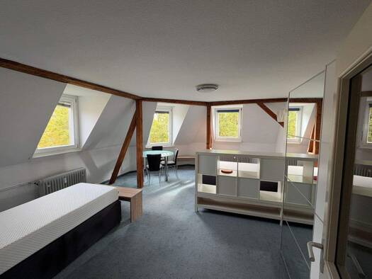 Studio zur Miete 690 € 1 Zimmer 36 m² Geschoss 3/3 frei ab sofort Altstadt Konstanz 78462