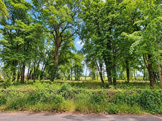 Grundstück zum Kauf 220.000 € 5.151 m² Grundstück Baugenehmigung vorhanden frei ab sofort Burg Burg 39288