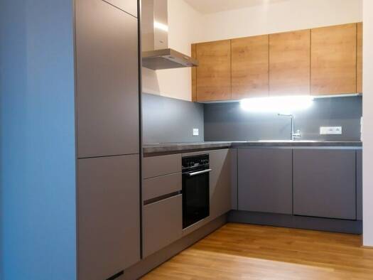 Wohnung zur Miete 856 € 2 Zimmer 64,1 m² 1. Geschoss Eggelsberg 5142