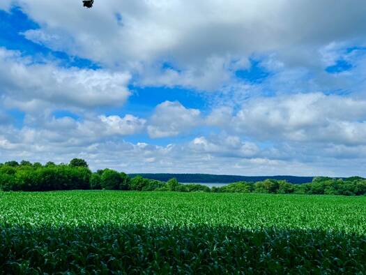 Land-/Forstwirtschaft zum Kauf 520.000 € 132.134 m² Warin Warin 19417
