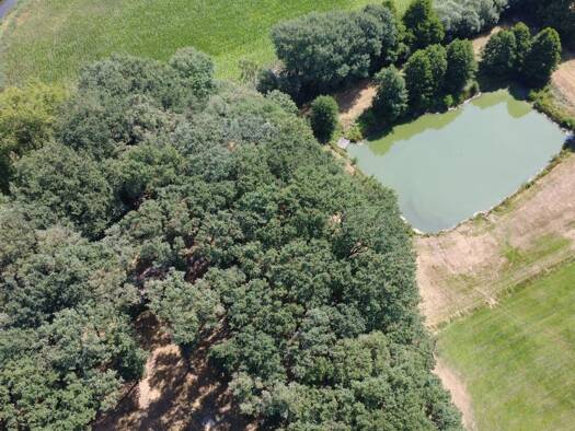 Freizeitgrundstück zum Kauf 320.000 € 40.000 m² Grundstück frei ab 01.10.2026 Beesten 49832
