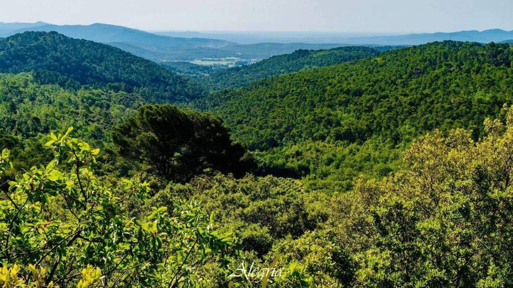 Haus zum Kauf 20.000.000 € Maljournal-Hlm Saint Hermantaire Draguignan 83300