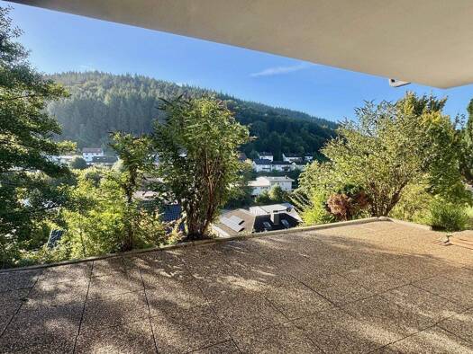 Terrassenwohnung zur Miete 650 € 2 Zimmer 65 m² frei ab sofort Vorderheubach Heiligkreuzsteinach 69253