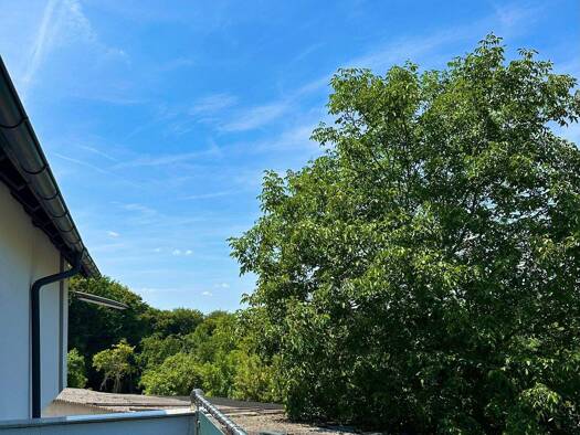 Einfamilienhaus zum Kauf 450.000 € 10 Zimmer 235 m² 1.862 m² Grundstück frei ab 01.05.2026 Wichsenstein Gößweinstein 91327