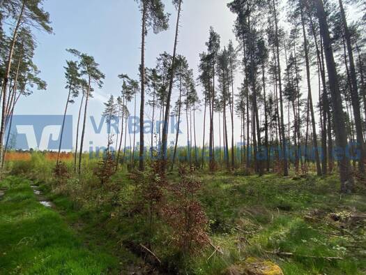Land-/Forstwirtschaft zum Kauf 69.000 € 30.774 m² Grundstück Feuchtwangen Feuchtwangen 91555