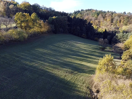 Land-/Forstwirtschaft zum Kauf 117.705 € Emmersdorf an der Donau 3644