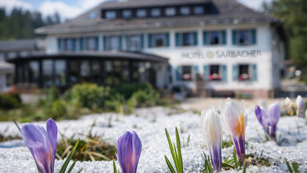 Gastronomie/Hotel zum Kauf 795.000 € 2.800 m² Grundstück Reichental Gernsbach 76593