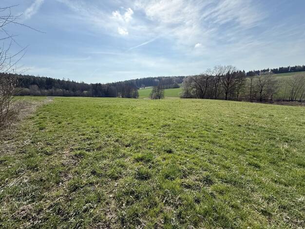 Land-/Forstwirtschaft zum Kauf 23.150 m² Grundstück Mamming Mamming / Bubach 94437