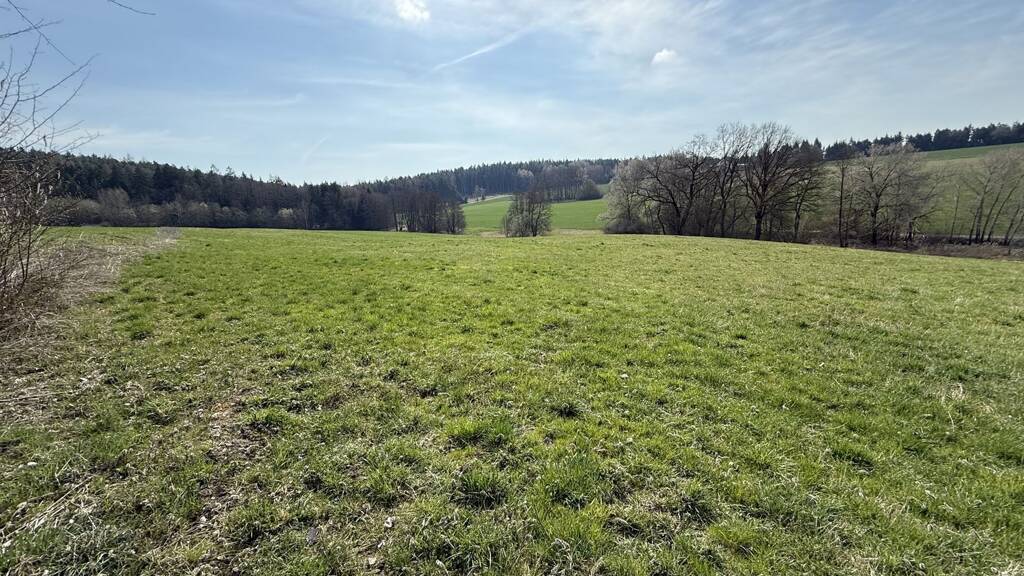 Land-/Forstwirtschaft zum Kauf 23.150 m² Grundstück Mamming Mamming / Bubach 94437
