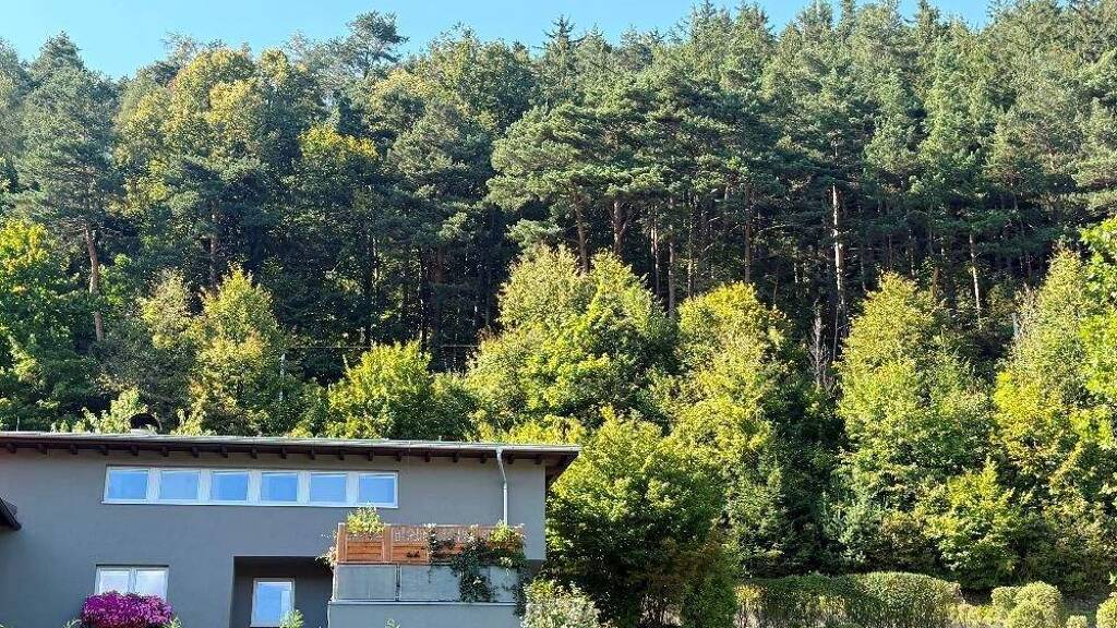 Wohnung zum Kauf 695.000 € 5 Zimmer 143,4 m² Sonnenburg-Brennerstraße 6161