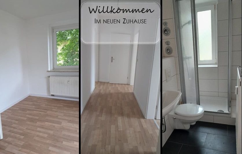 Wohnung zur Miete 250 € 2 Zimmer 46,1 m²<br/>Wohnfläche 1.<br/>Geschoss ab sofort<br/>Verfügbarkeit Bachstraße 1 Ostvorstadt Plauen 08527