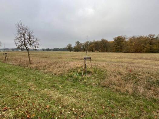 Grundstück zum Kauf provisionsfrei 1.008 m² Grundstück Landin Kotzen 14715