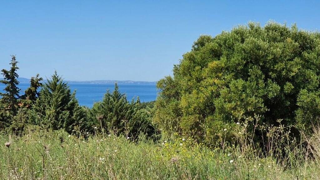 Land-/Forstwirtschaft zum Kauf 250.000 € 4.000 m² Grundstück Chalkidiki