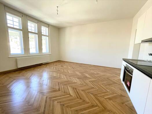 Wohnung zur Miete 522 € 2 Zimmer 54 m² 3. Geschoss Wiener Straße Mürzzuschlag 8680